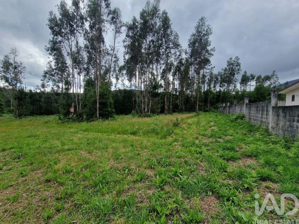 Terreno para Venda em São Pedro de Arcos Foto 20