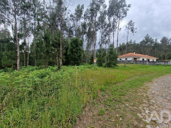 Terreno para Venda em São Pedro de Arcos Foto 26