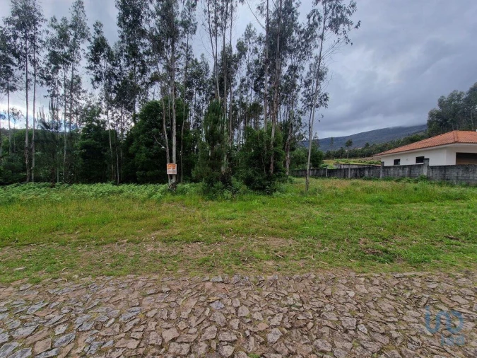 Terreno para Venda em São Pedro de Arcos Foto 6