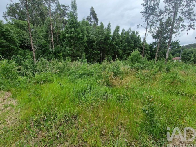 Terreno para Venda em São Pedro de Arcos Foto 24