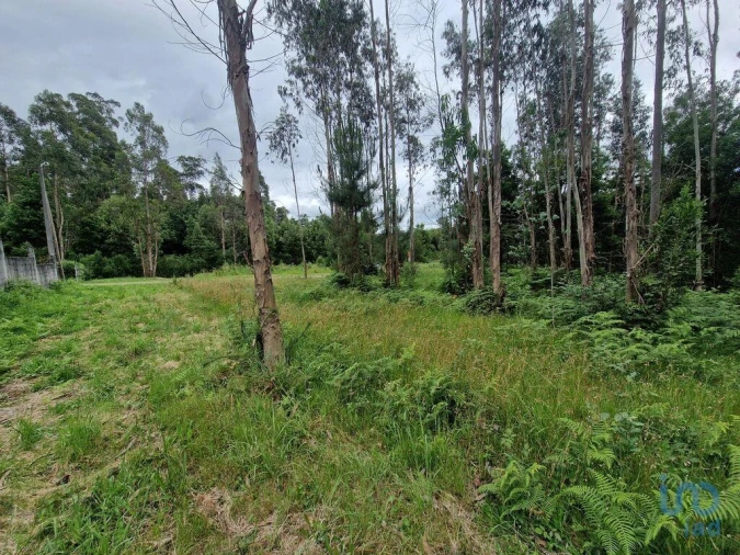 Terreno para Venda em São Pedro de Arcos Foto 10