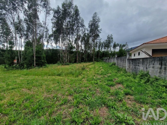 Terreno para Venda em São Pedro de Arcos Foto 19