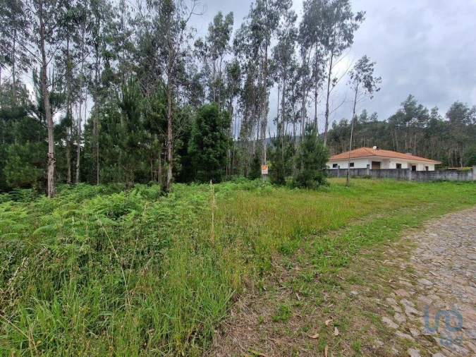Terreno para Venda em São Pedro de Arcos Foto 14
