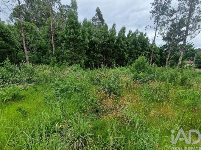 Terreno para Venda em São Pedro de Arcos Foto 25