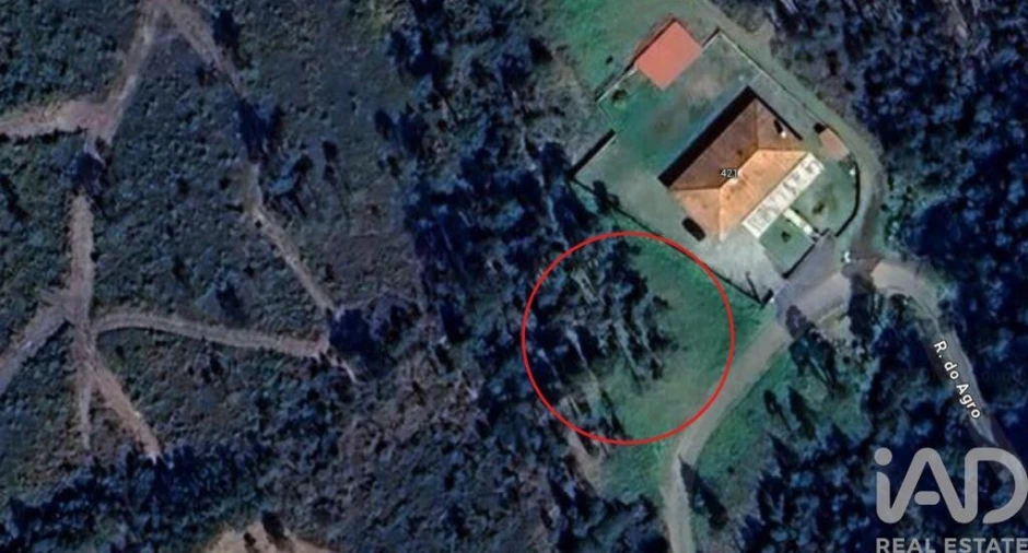 Terreno para Venda em São Pedro de Arcos Foto 27