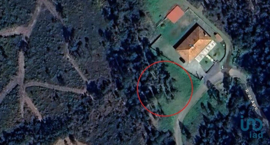 Terreno para Venda em São Pedro de Arcos Foto 1