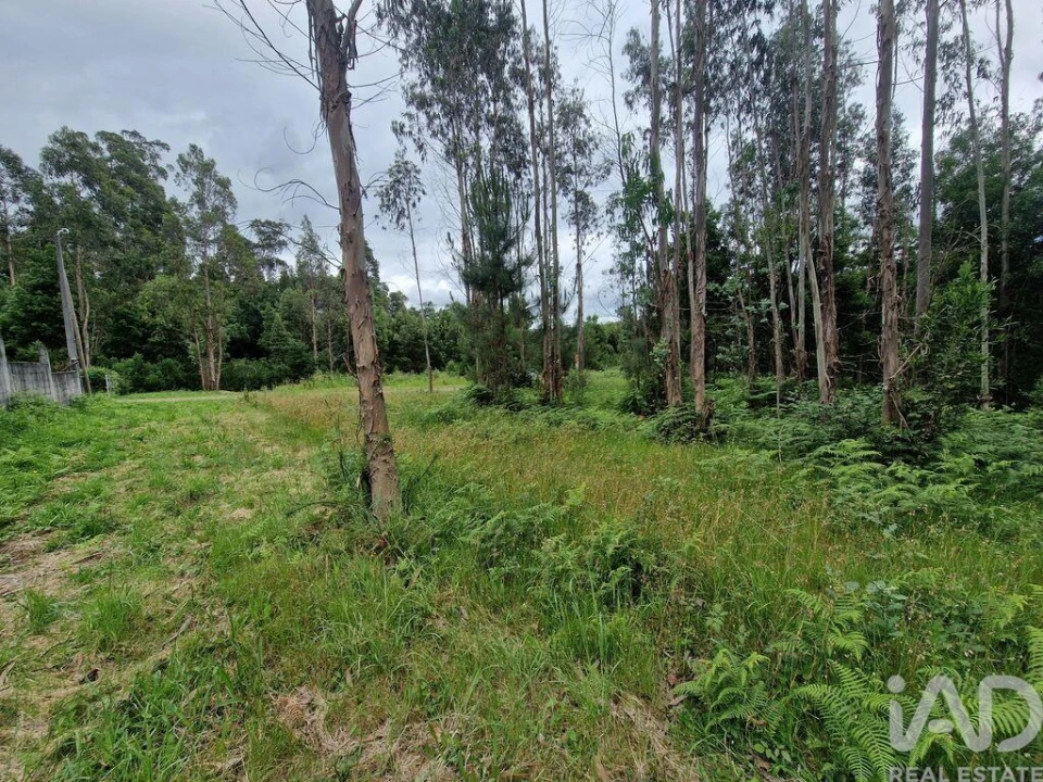 Terreno para Venda em São Pedro de Arcos Foto 22