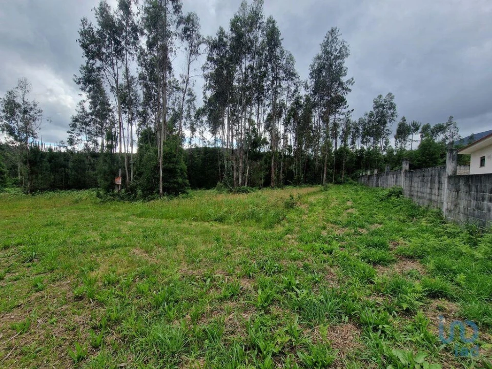 Terreno para Venda em São Pedro de Arcos Foto 8