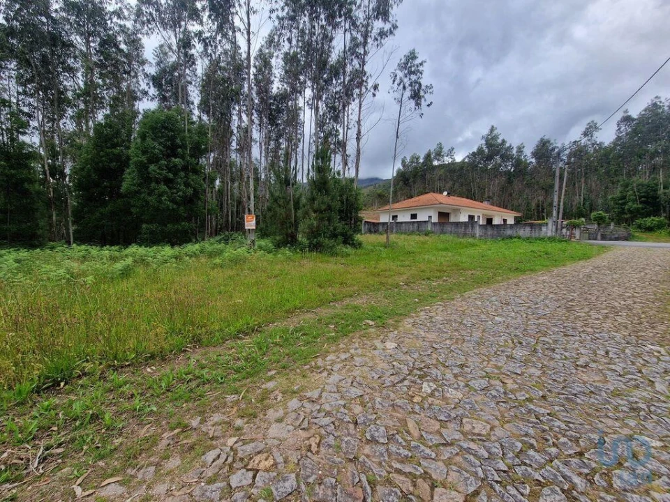 Terreno para Venda em São Pedro de Arcos Foto 2