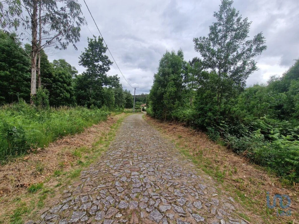 Terreno para Venda em São Pedro de Arcos Foto 5