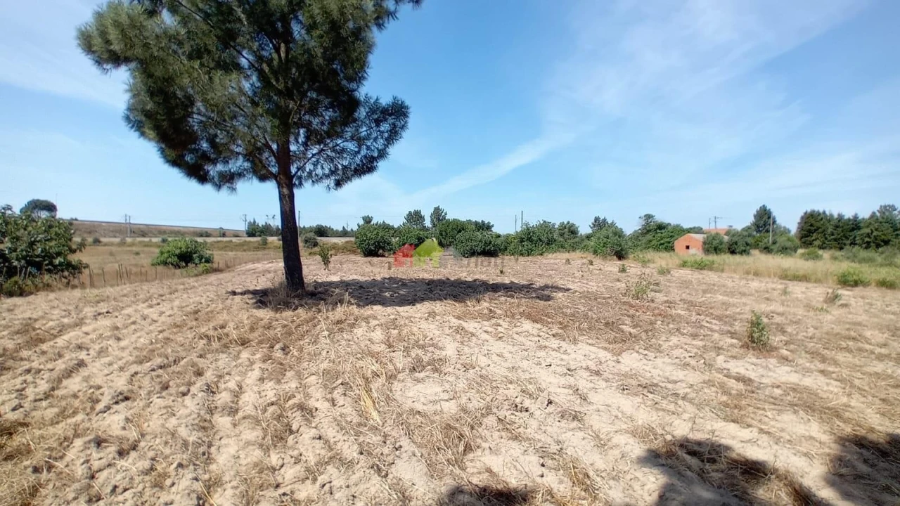 Terreno para Venda em Poceirão e Marateca Foto 5