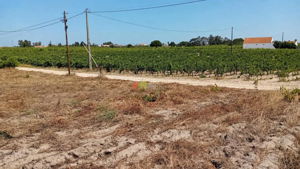 Terreno para Venda em Poceirão e Marateca Foto 10