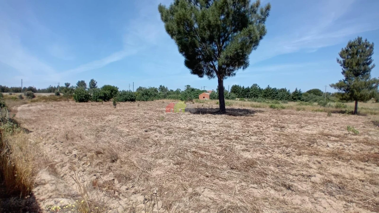 Terreno para Venda em Poceirão e Marateca Foto 6