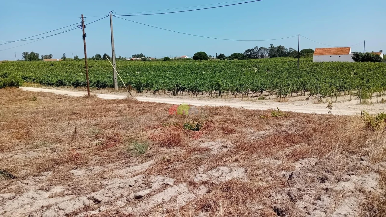 Terreno para Venda em Poceirão e Marateca Foto 3
