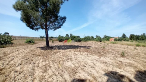 Terreno para Venda em Poceirão e Marateca