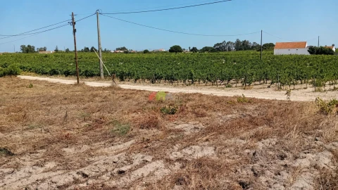 Terreno para Venda em Poceirão e Marateca