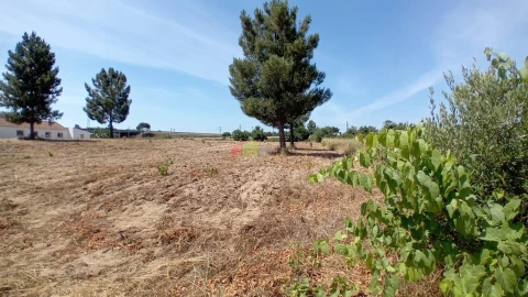 Terreno para Venda em Poceirão e Marateca