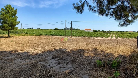 Terreno para Venda em Poceirão e Marateca