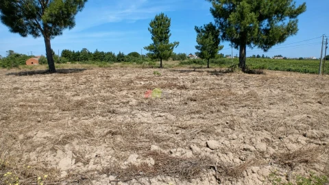 Terreno para Venda em Poceirão e Marateca