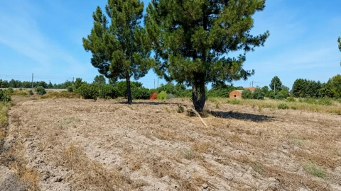 Terreno para Venda em Poceirão e Marateca