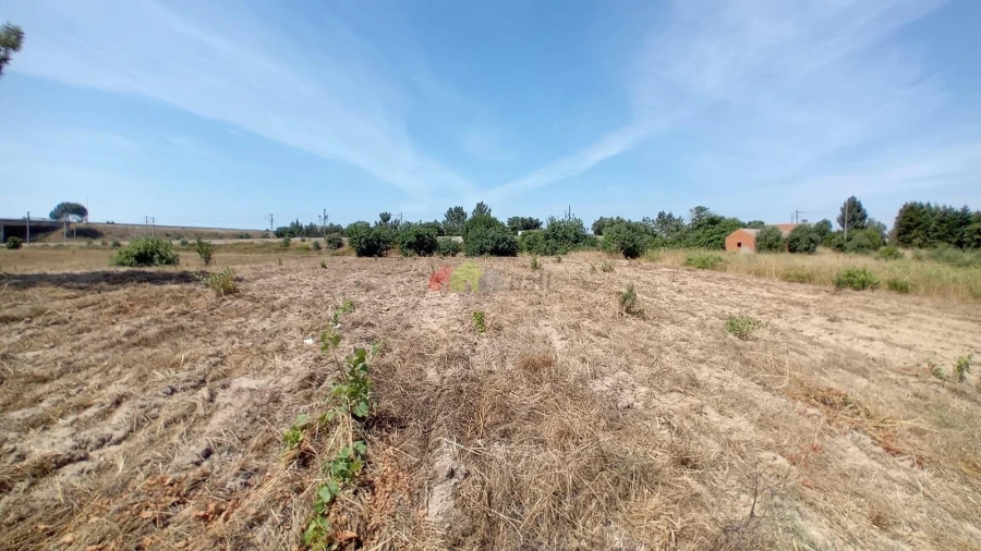 Terreno para Venda em Poceirão e Marateca Foto 7