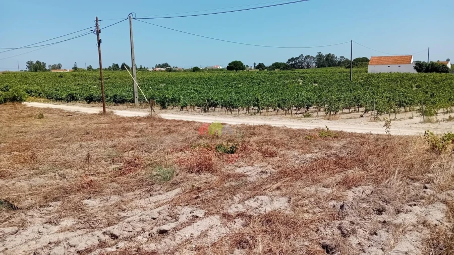 Terreno para Venda em Poceirão e Marateca Foto 3