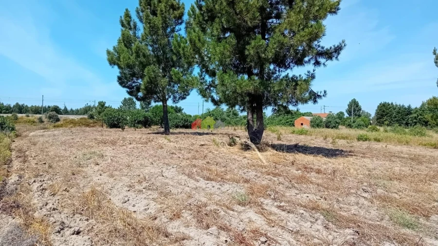 Terreno para Venda em Poceirão e Marateca Foto 9