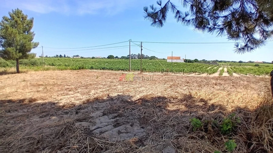 Terreno para Venda em Poceirão e Marateca