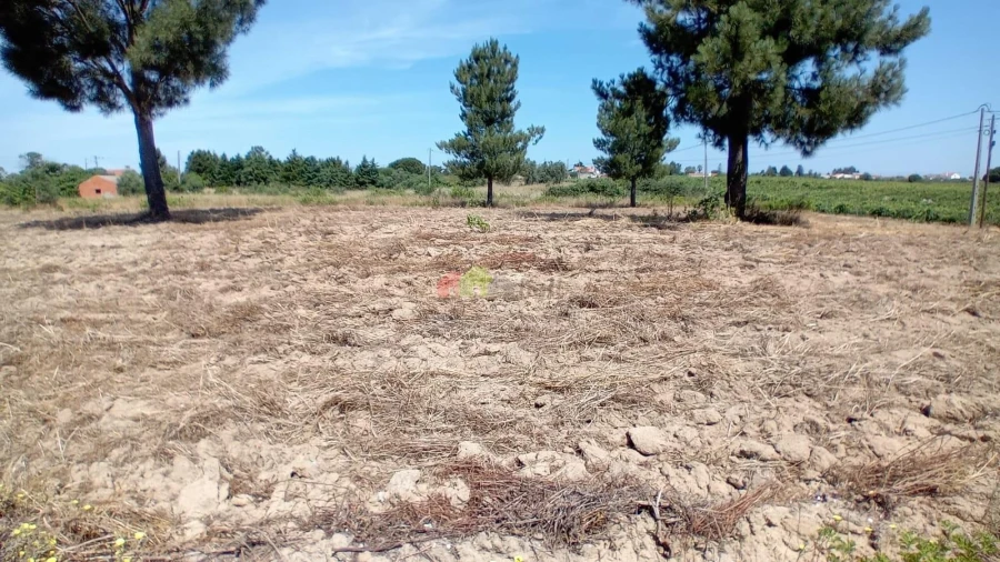Terreno para Venda em Poceirão e Marateca Foto 4