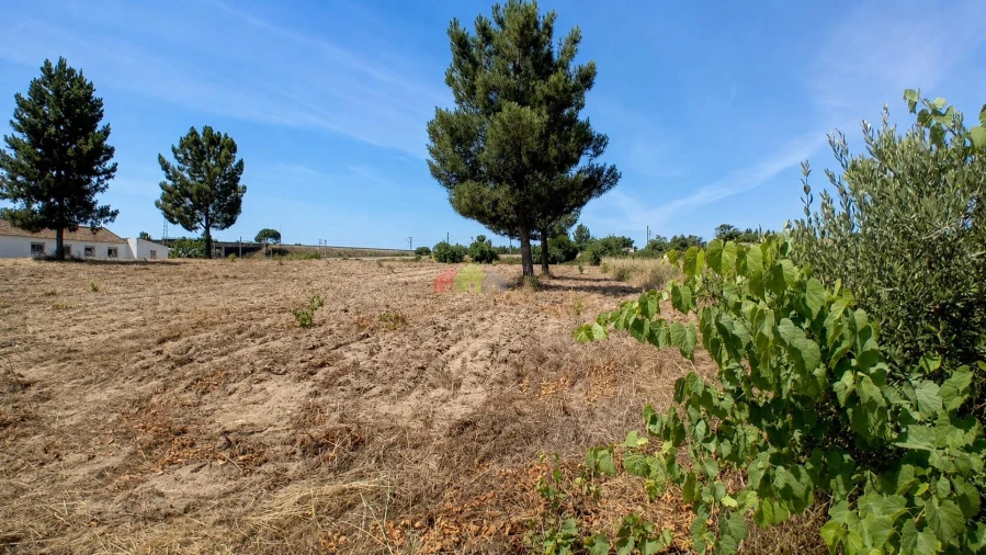 Terreno para Venda em Poceirão e Marateca Foto 6