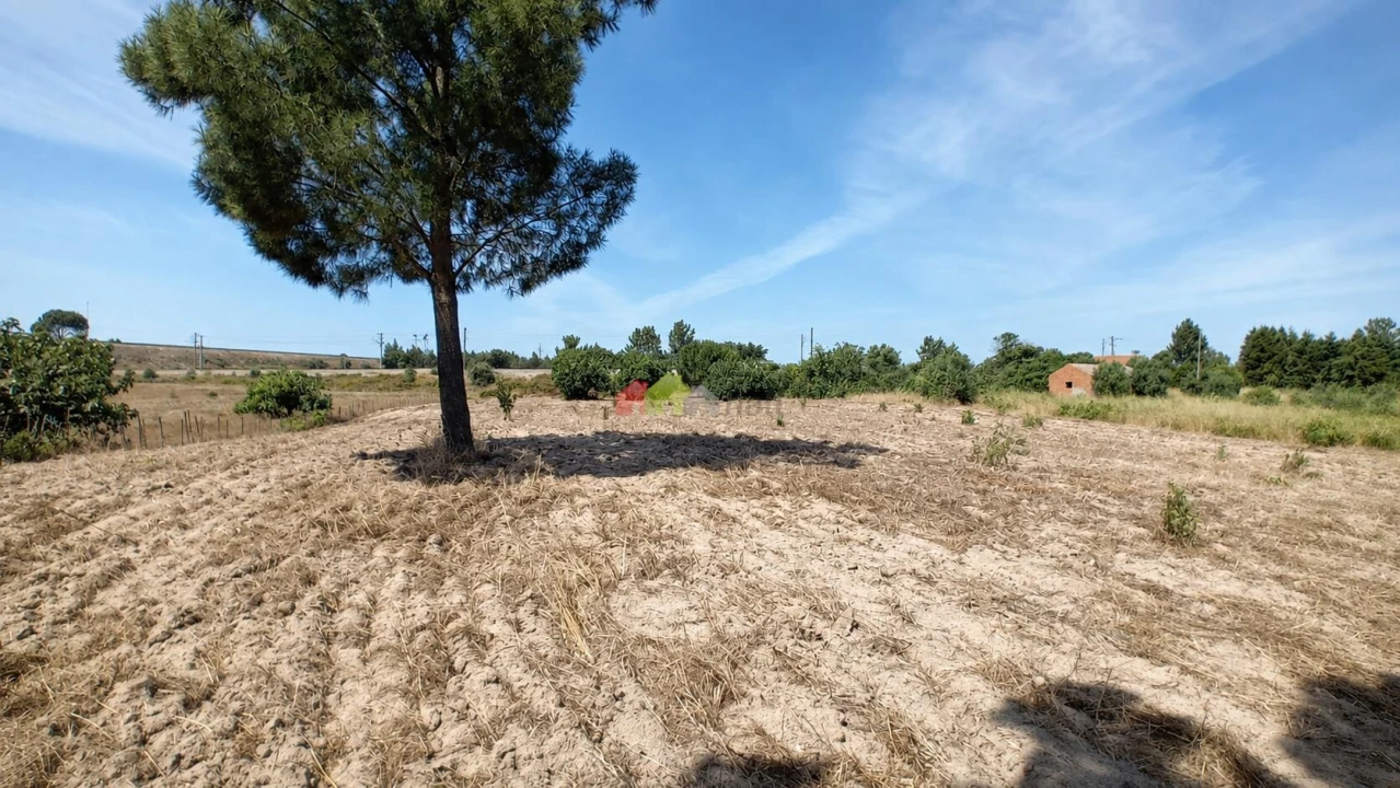 Terreno para Venda em Poceirão e Marateca Foto 8