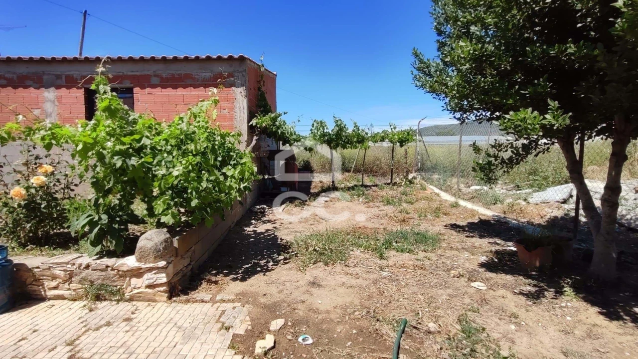 Quinta T5 para Venda em Vila Verde de Ficalho Foto 48