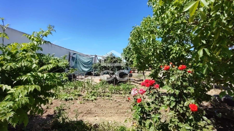 Quinta T5 para Venda em Vila Verde de Ficalho Foto 51