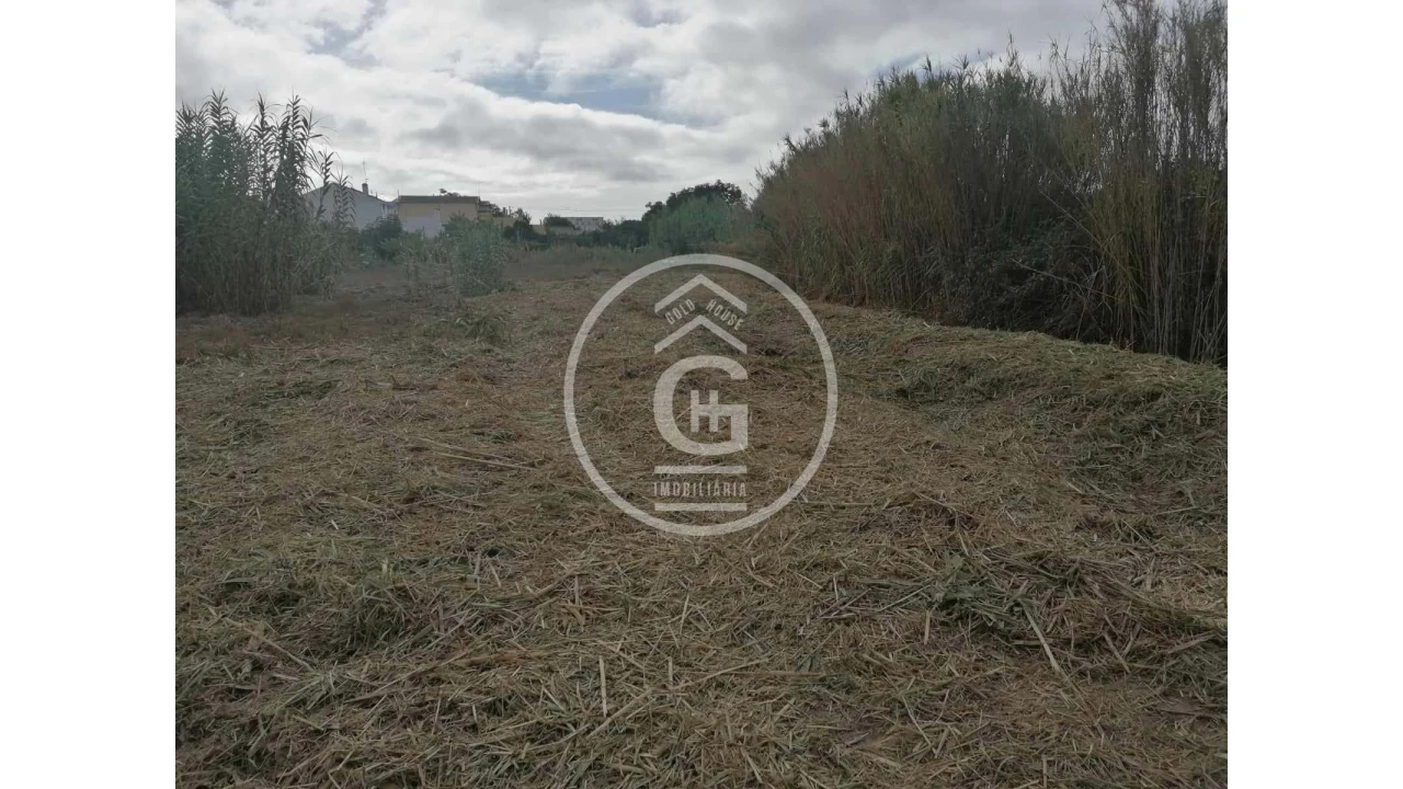 Terreno para Venda em Alpiarça Foto 6