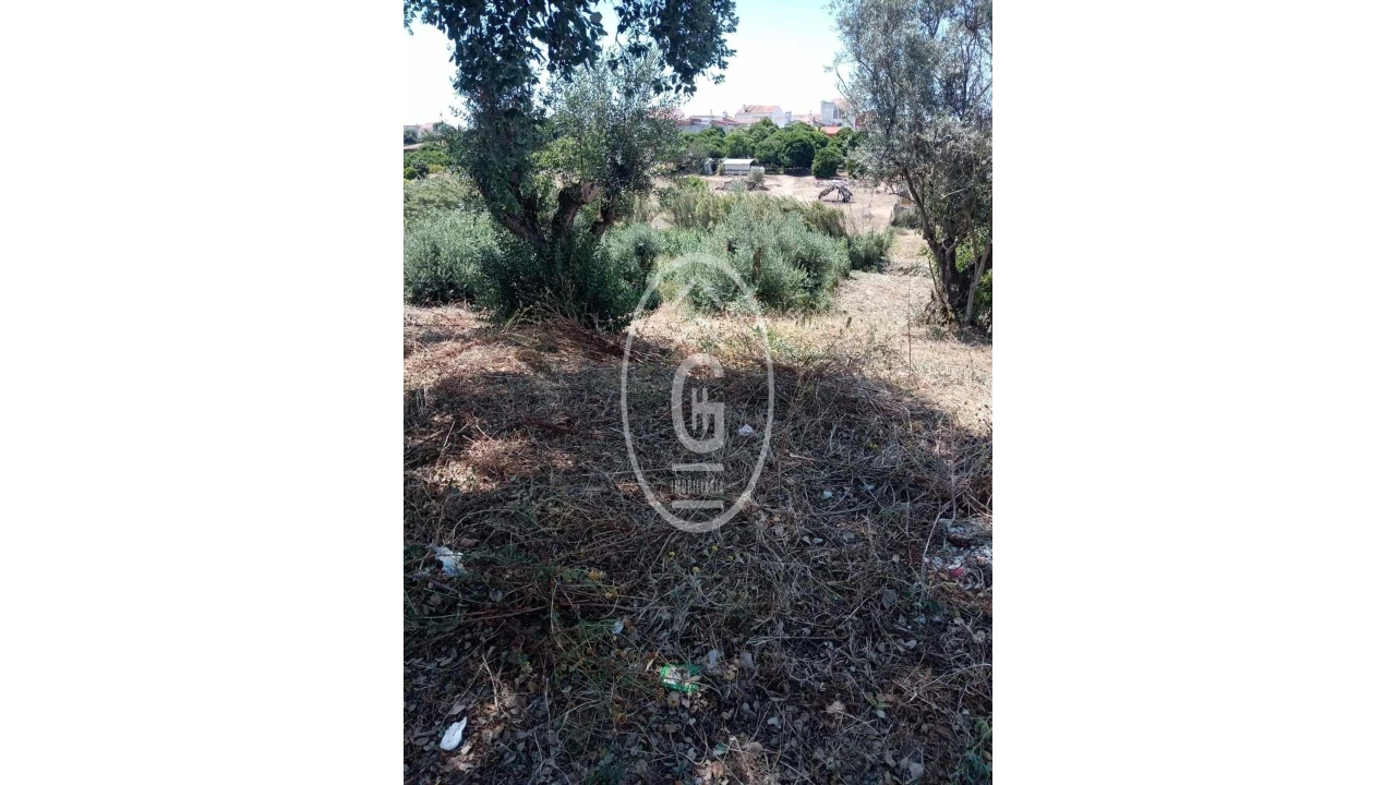 Terreno para Venda em Alpiarça Foto 2