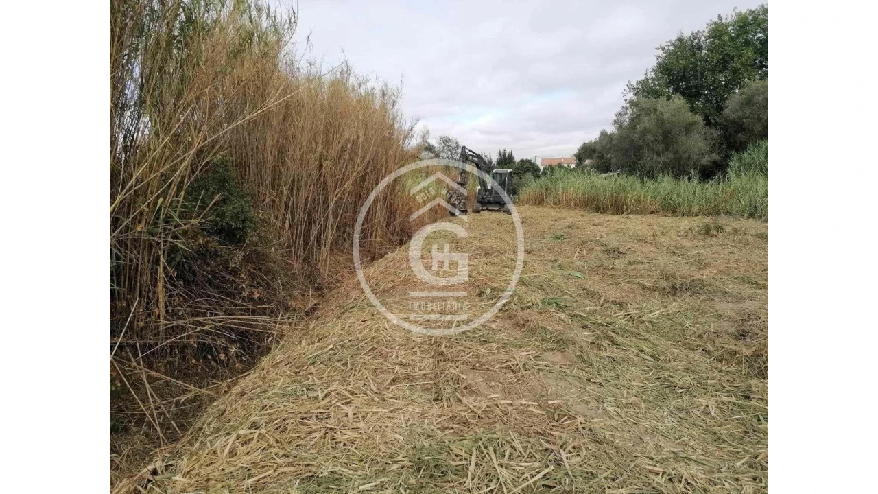 Terreno para Venda em Alpiarça Foto 9