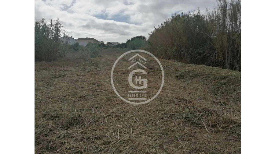 Terreno para Venda em Alpiarça Foto 7