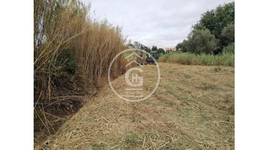 Terreno para Venda em Alpiarça Foto 9