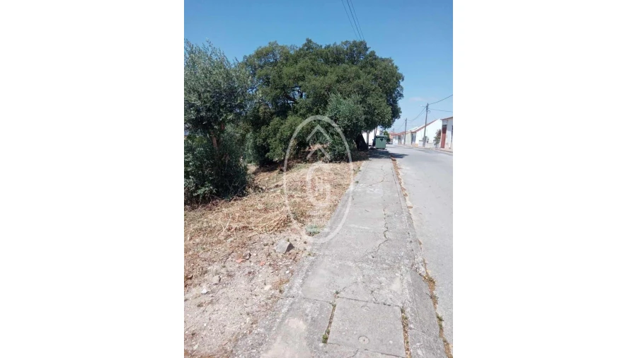 Terreno para Venda em Alpiarça Foto 12