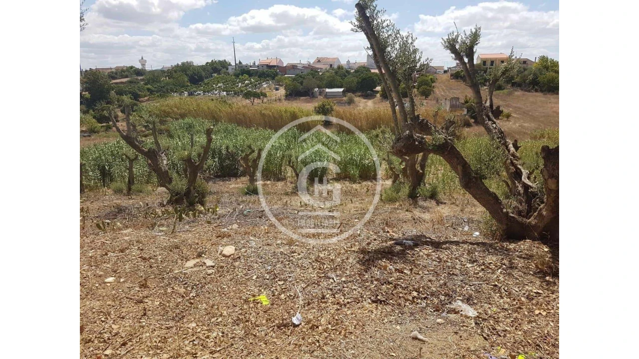 Terreno para Venda em Alpiarça Foto 10