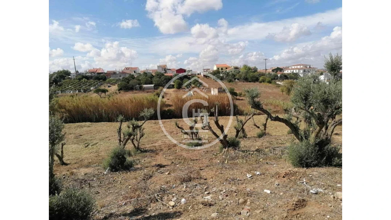 Terreno para Venda em Alpiarça Foto 11