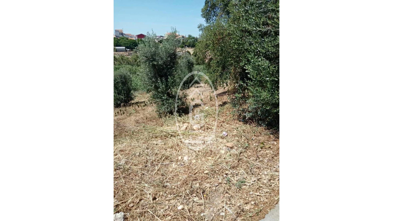 Terreno para Venda em Alpiarça Foto 8