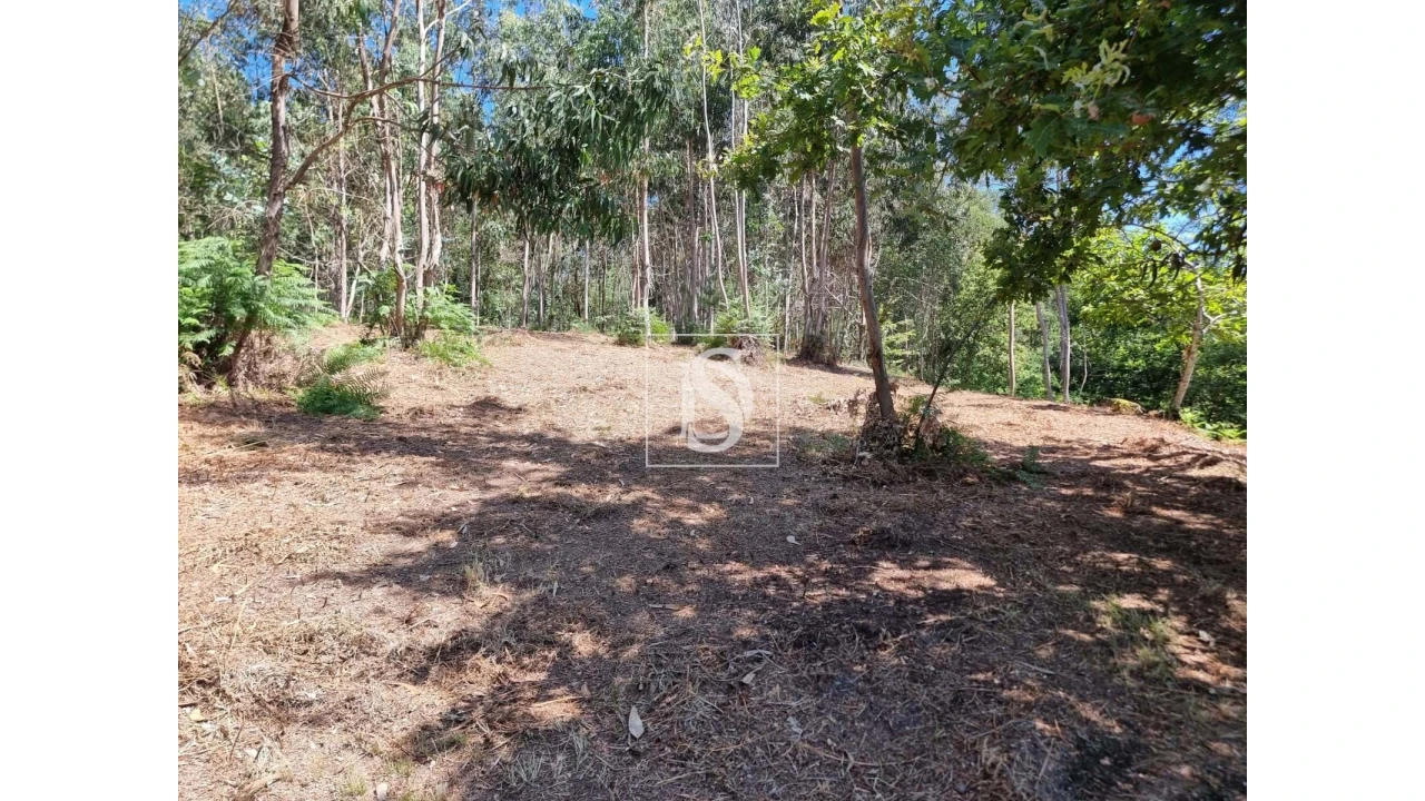 Terreno para Venda em Anissó e Soutelo Foto 8