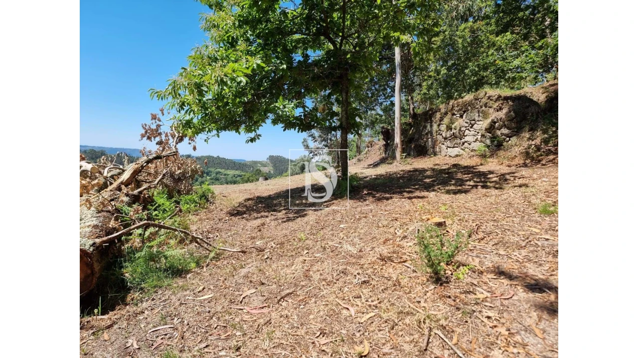 Terreno para Venda em Anissó e Soutelo Foto 19