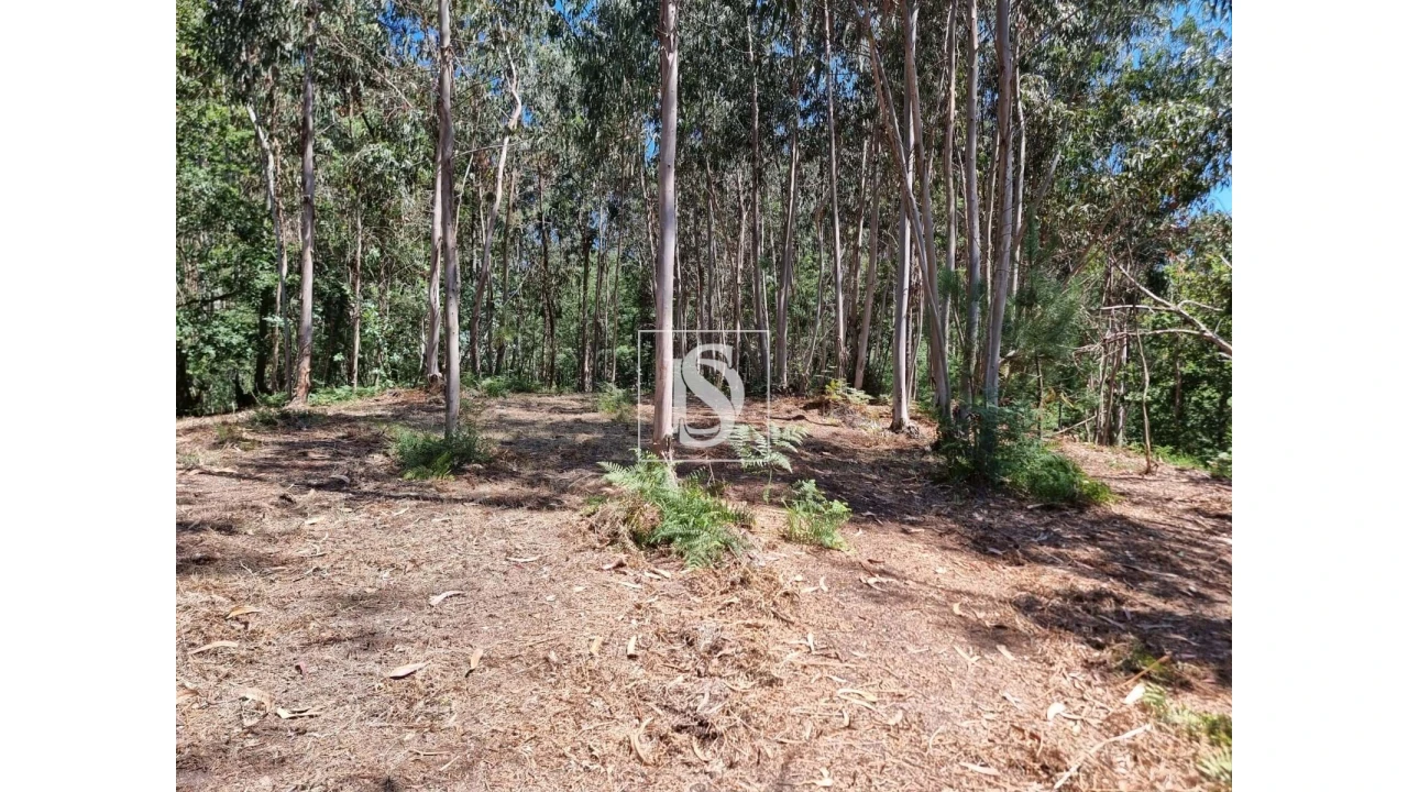 Terreno para Venda em Anissó e Soutelo Foto 9