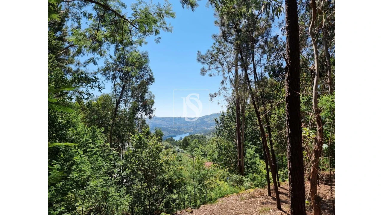 Terreno para Venda em Anissó e Soutelo Foto 13