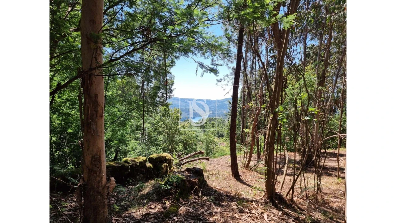 Terreno para Venda em Anissó e Soutelo Foto 1