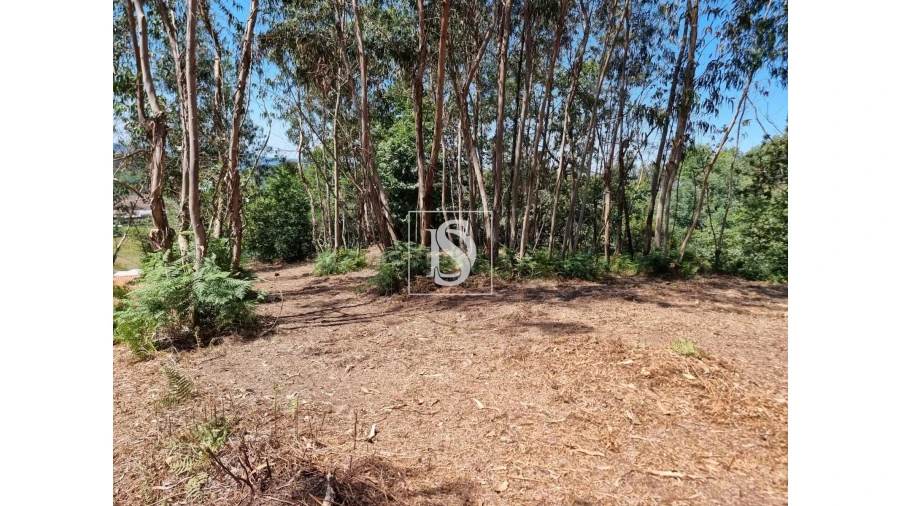 Terreno para Venda em Anissó e Soutelo Foto 10