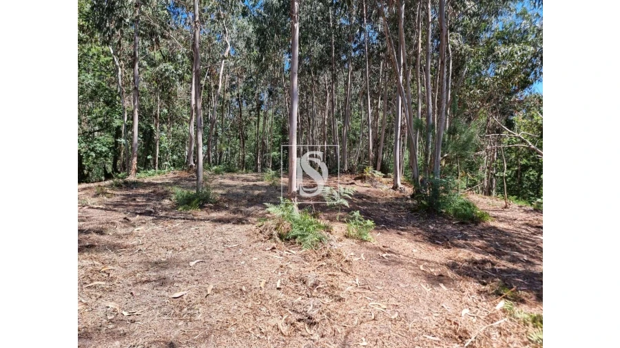 Terreno para Venda em Anissó e Soutelo Foto 9