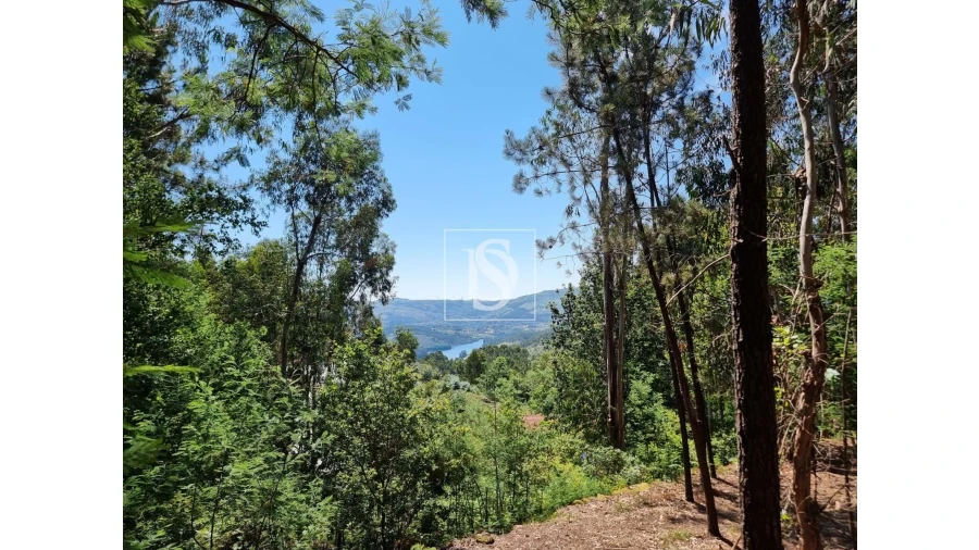 Terreno para Venda em Anissó e Soutelo Foto 13